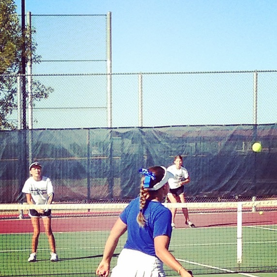 10/14/14 - Basha v. Xavier